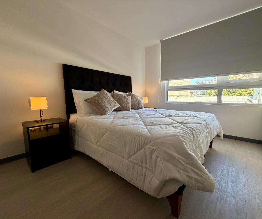 Co-Work Apartment 516 Downtown Santiago, 2 Bedrooms más Parking - 5