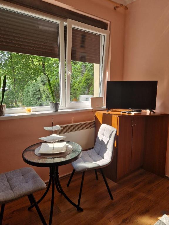 Apartmani Central Vrnjačka Banja Šetalište - 3