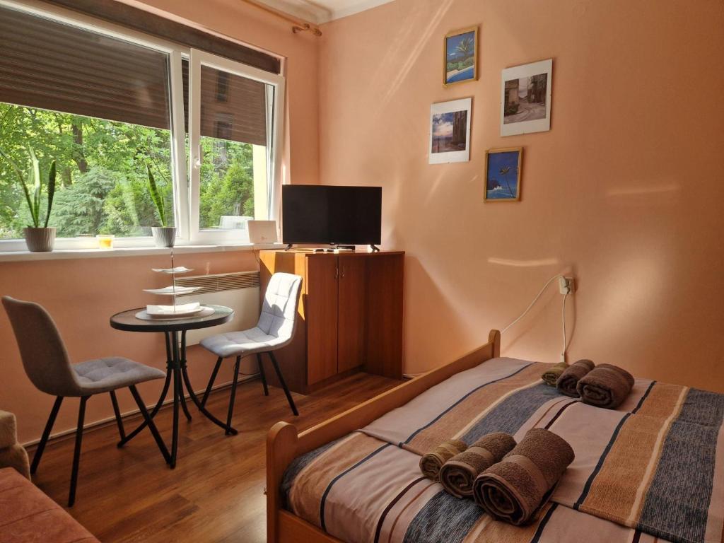 Apartmani Central Vrnjačka Banja Šetalište - 4