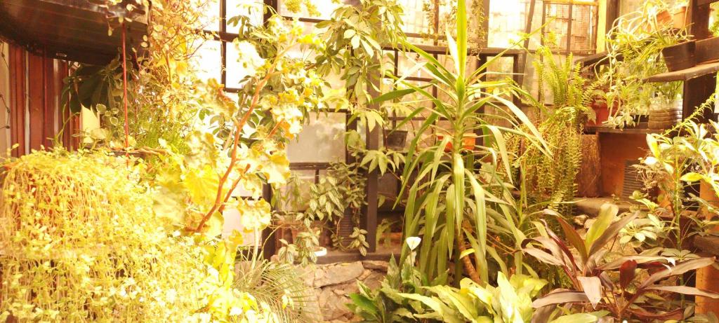 Casa en Santa Rosa de Calamuchita - 4