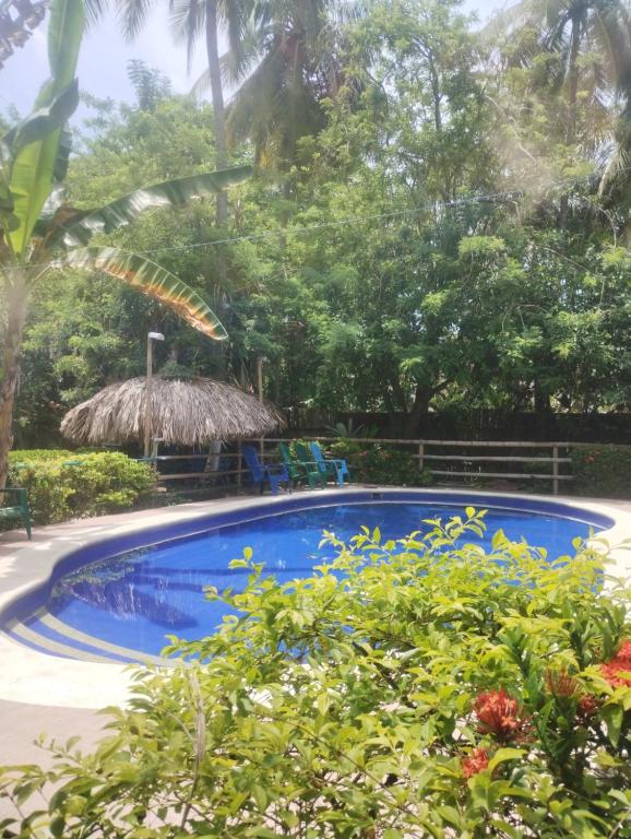 casa jungla - 4