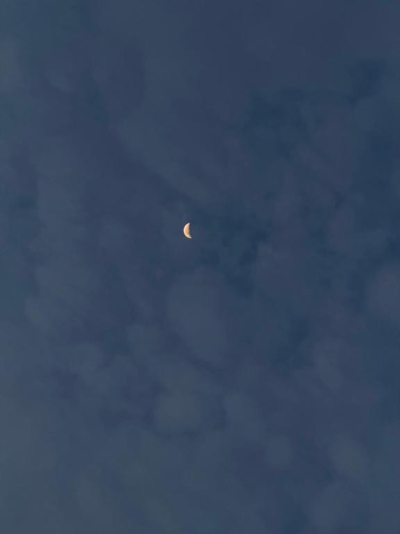 Ảnh 5