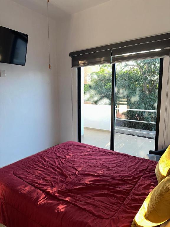 Apartment 400 meters from the sea - 2