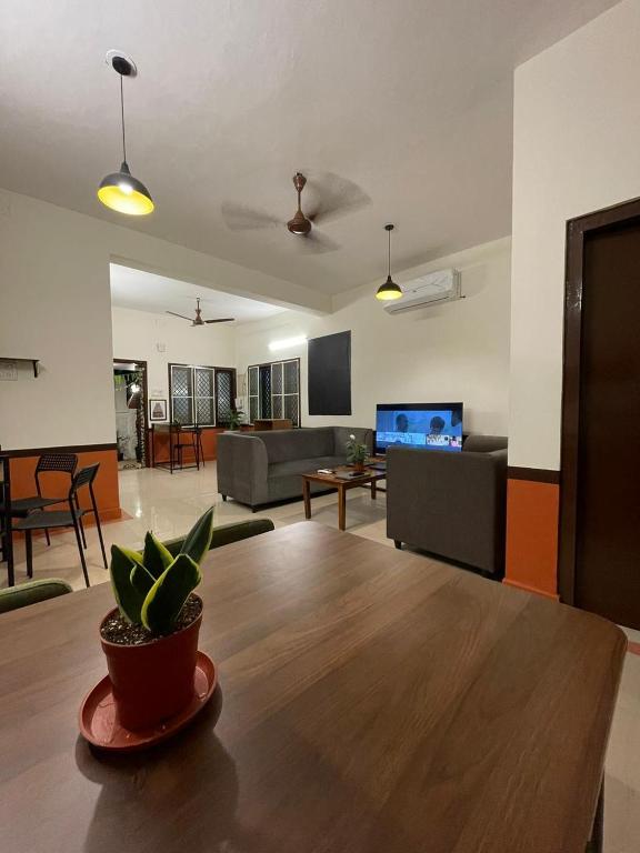 Ảnh 3