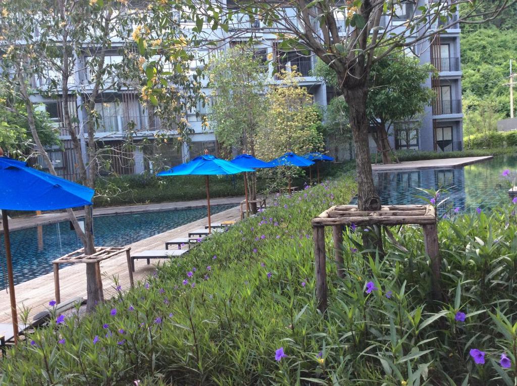 スイミングプール