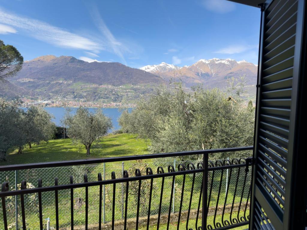Lario Panorama - 2