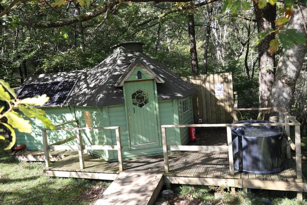 Woodland Cabin with Private Hot Tub, Barmouth, Barmouth - pet-friendly stay