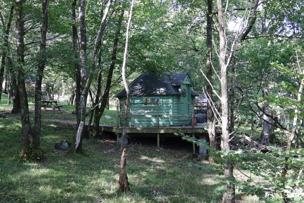 Tree Top Cabin - pet-friendly woodland cabin near Barmouth, Snowdonia