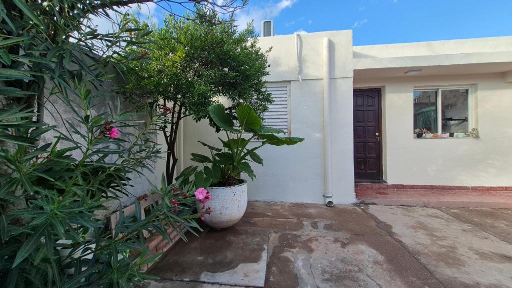 Aire Serrano - Departamento San Luis - 2
