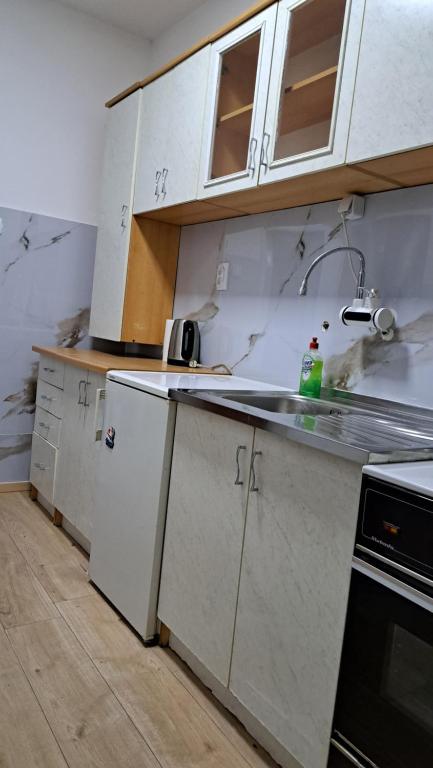 Apartment Gajic - 3