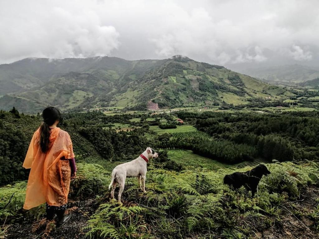 Villa Amaranto Oxapampa - 3