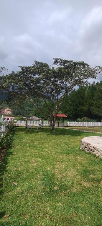 Villa Amaranto Oxapampa - 2