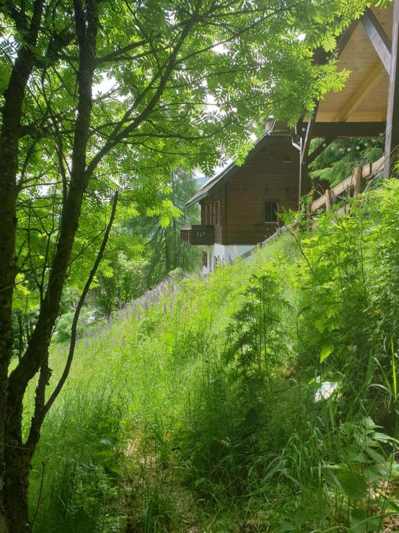 Chalet Talblick - 4