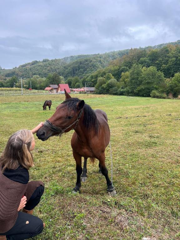 Seosko domacinstvo Rajska Dolina - 3