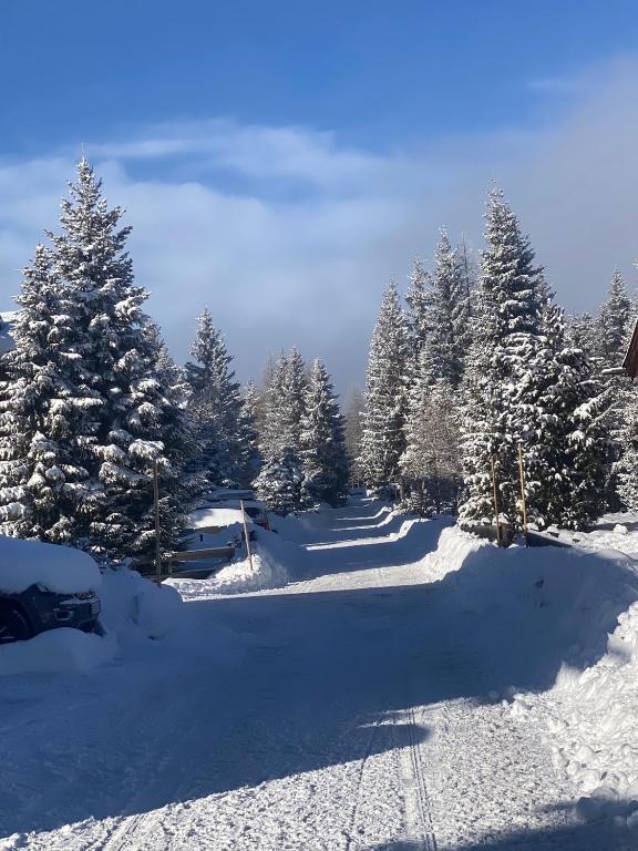 3-Zimmer Whg. auf 1.660m Hochkrimml/Zillertalarena - 2