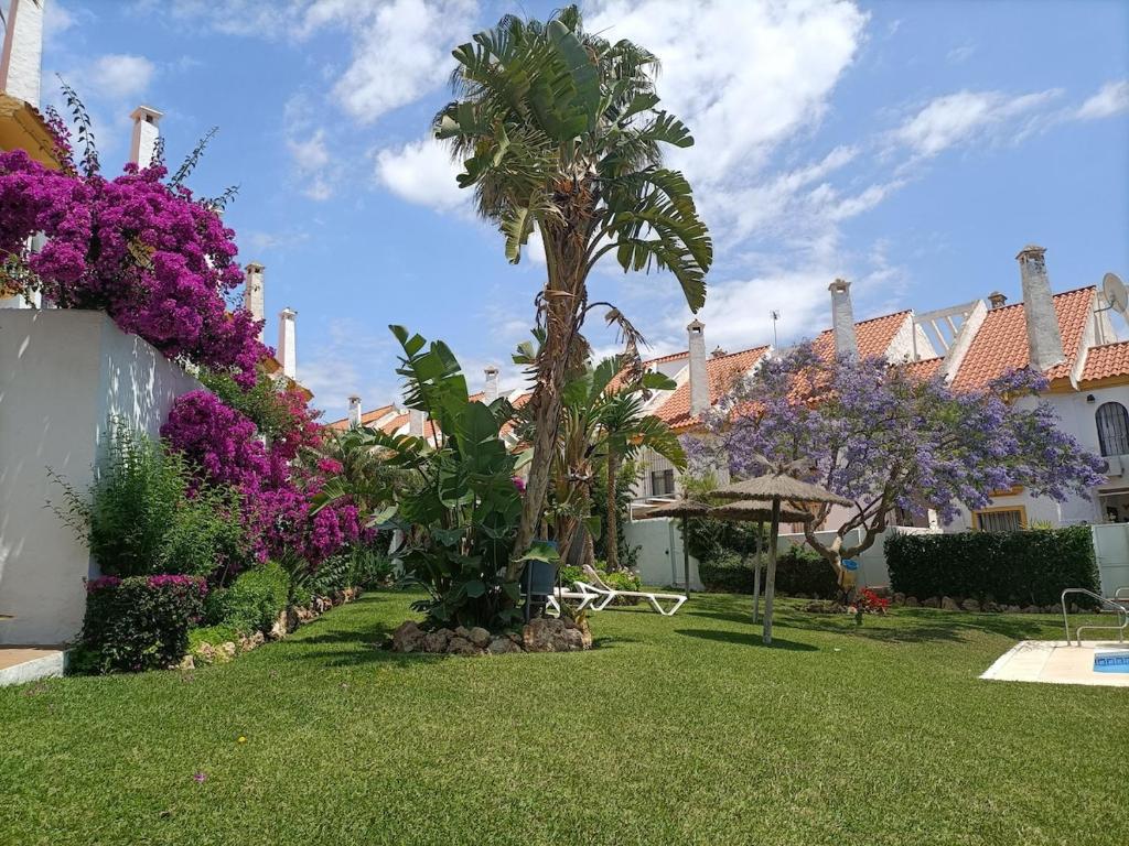 Casa del Puerto de Estepona - 5