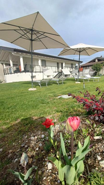 APPARTAMENTO " Le Terre del Garda " - 4