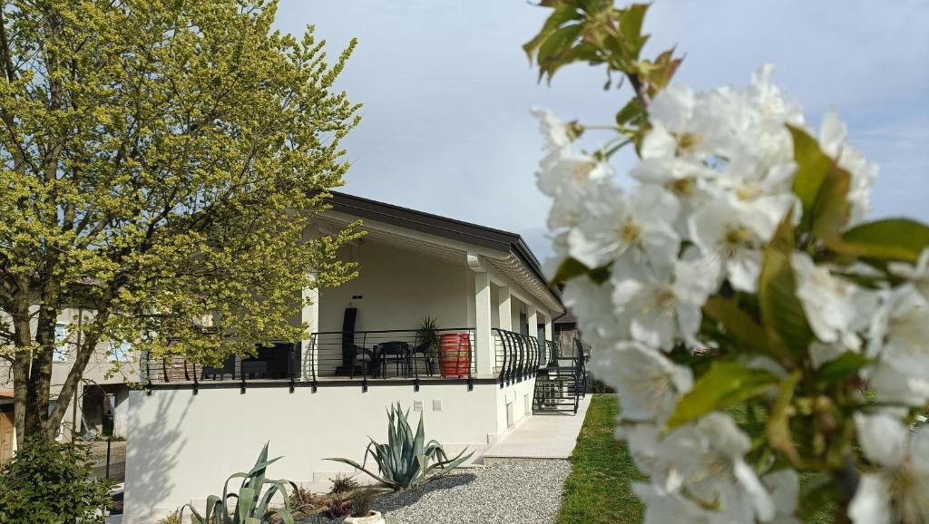 APPARTAMENTO " Le Terre del Garda " - 1