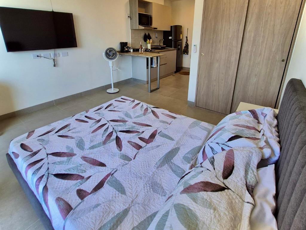 Apartamento Santa Marta, 1 habitación, con vista al mar, playa y piscina - 2