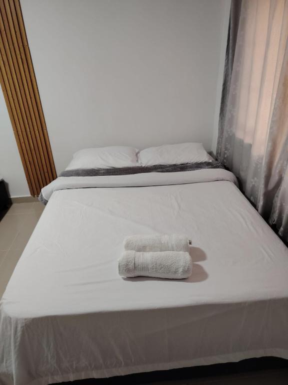 Apartamento Eje Cafetero A2 - 2