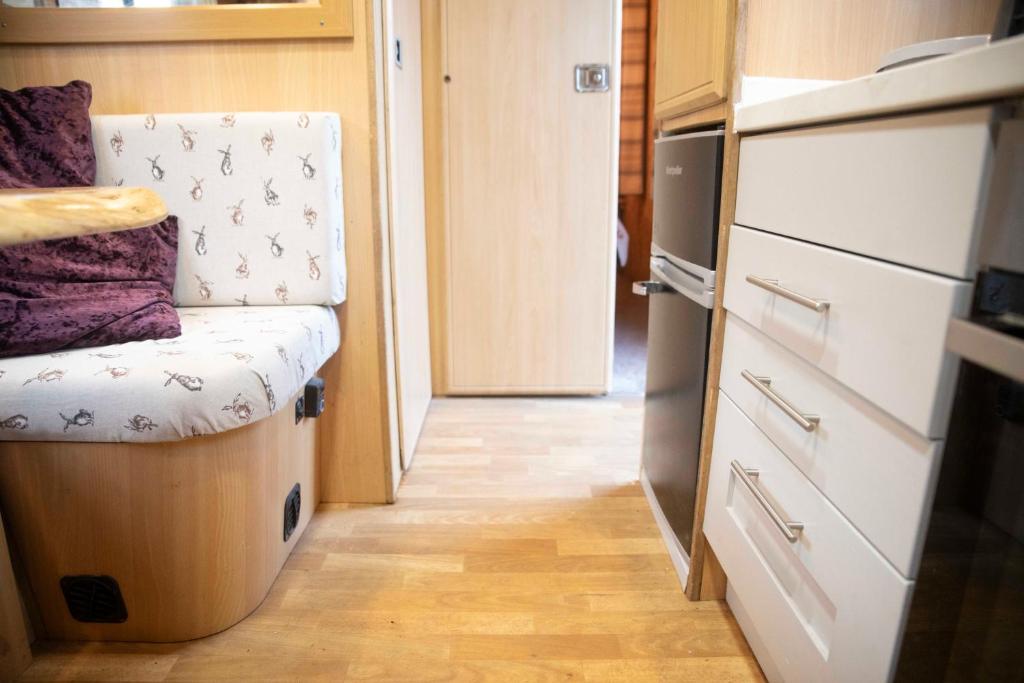 Parrys Horse Box, Exmouth (Converted Horsebox Glamping) photo 4