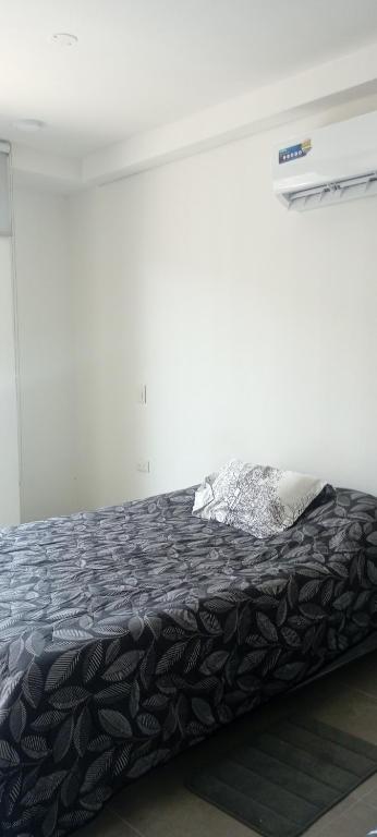 Aparta estudio coralina Suite - 5