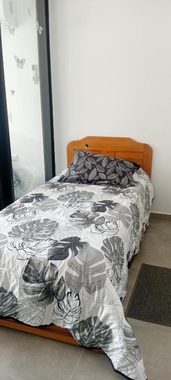 Aparta estudio coralina Suite - 4
