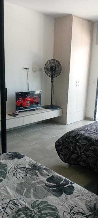 Aparta estudio coralina Suite - 2
