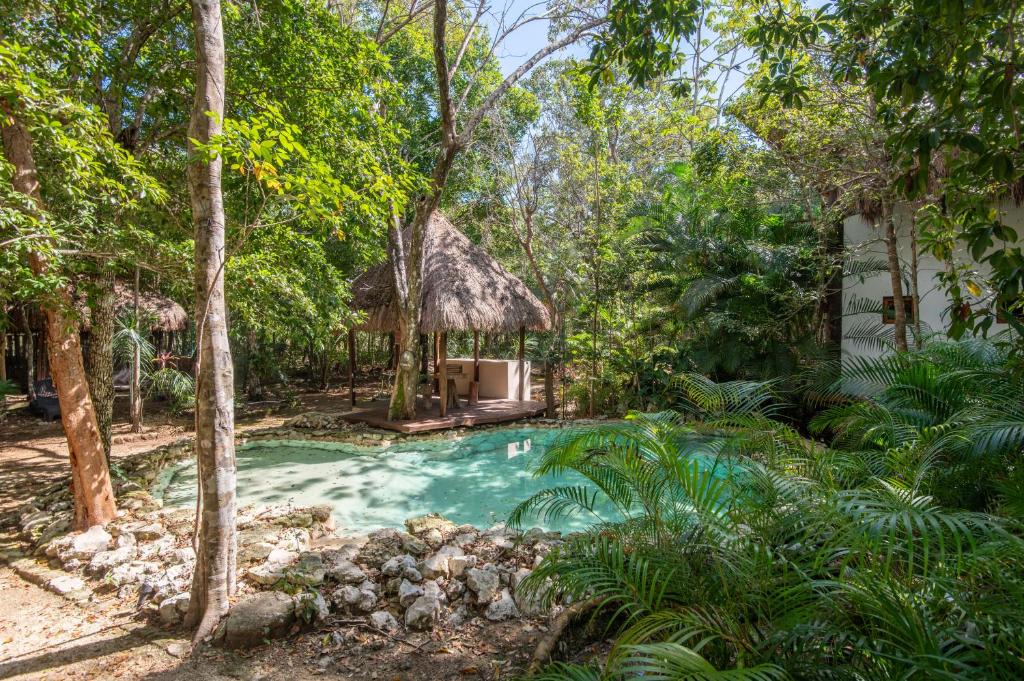 Private Jungle Villa with Full Kitchen & Pool Access - 1