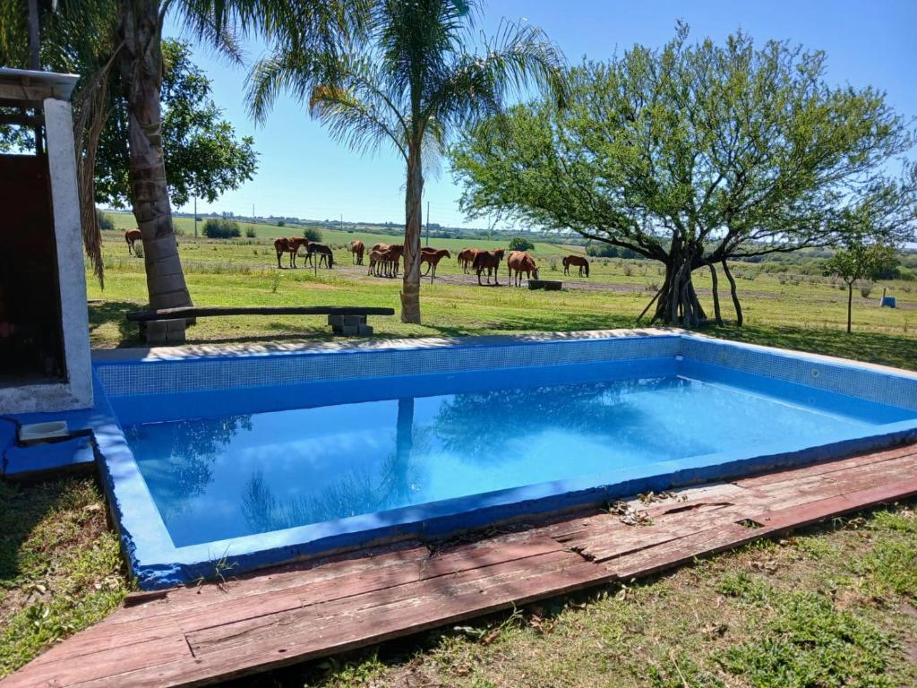 Don Estelio Casas de Campo en Paraná - 2