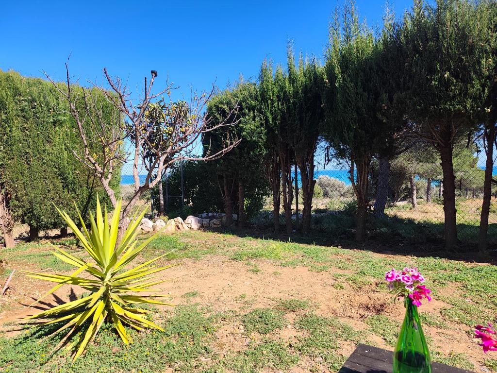 La casa del mar Nuimna - 4