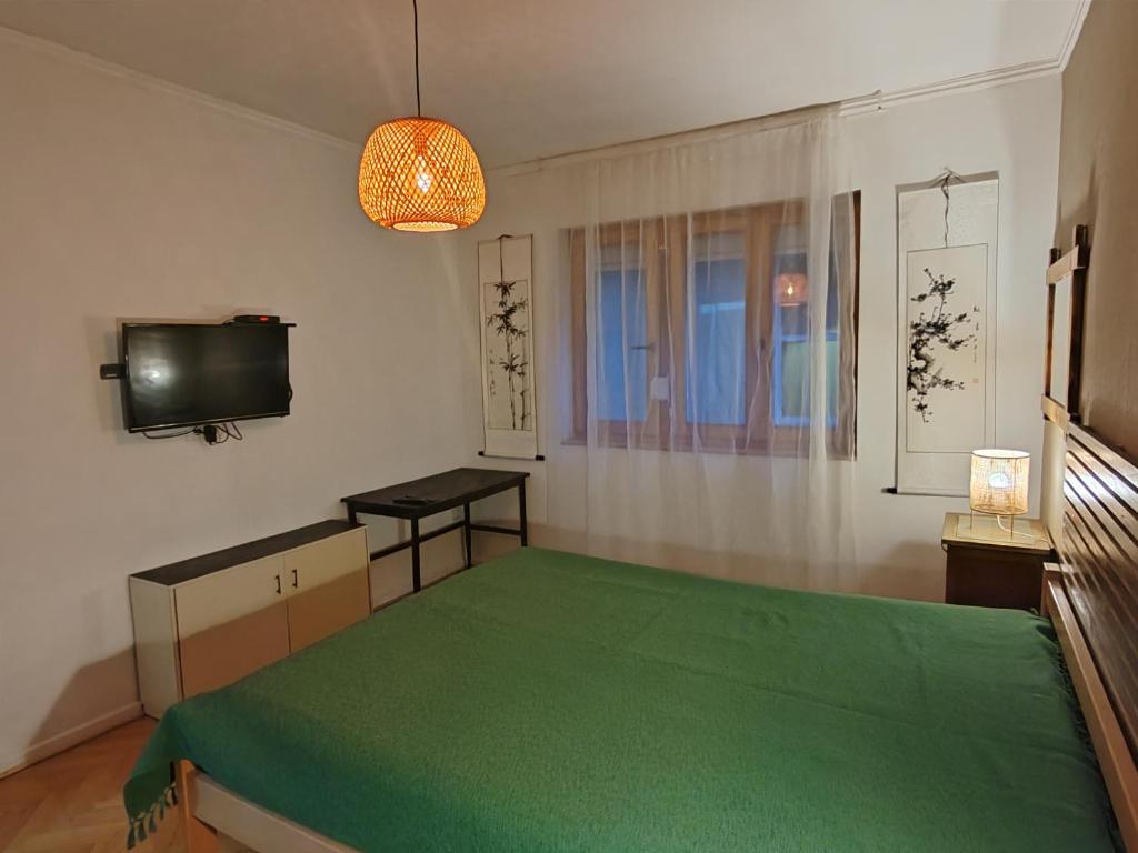 Voždovac apartment - 4