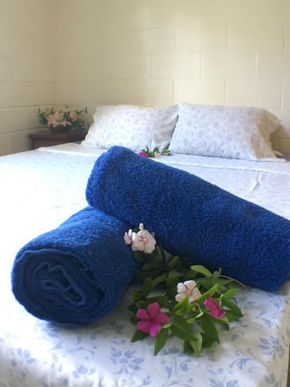 Green Lodge Holiday Homes