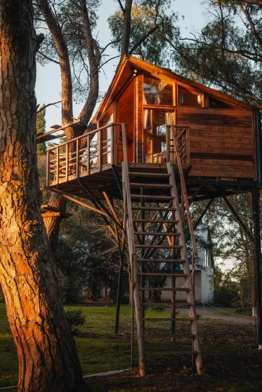 Treehouse Elena - 1