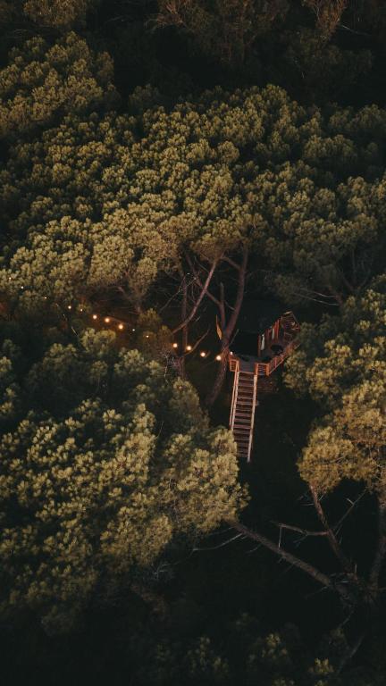 Treehouse Elena - 4