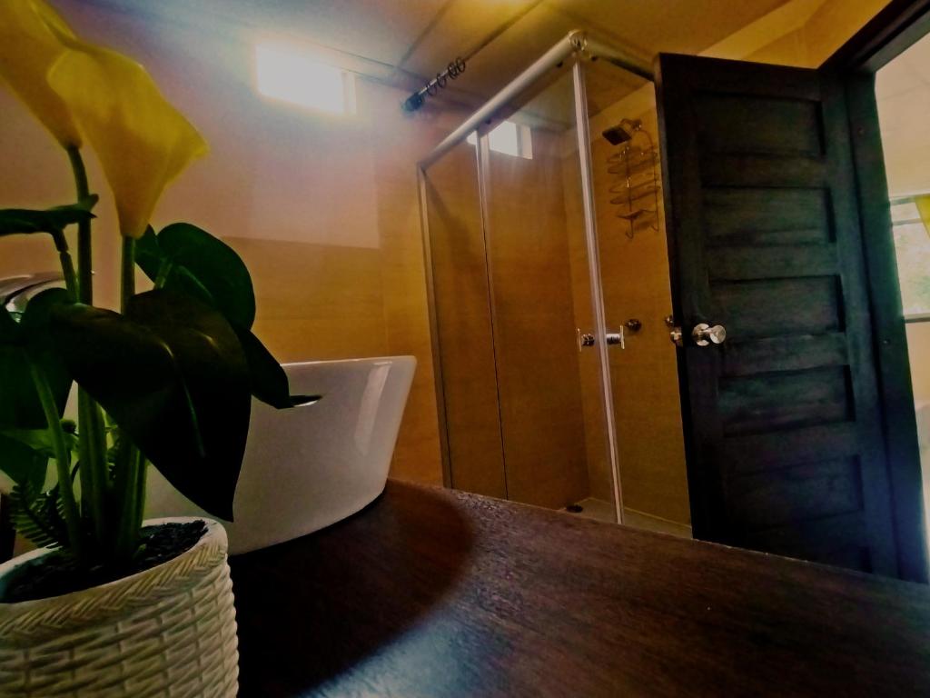 Casa Juana de Oro - 5