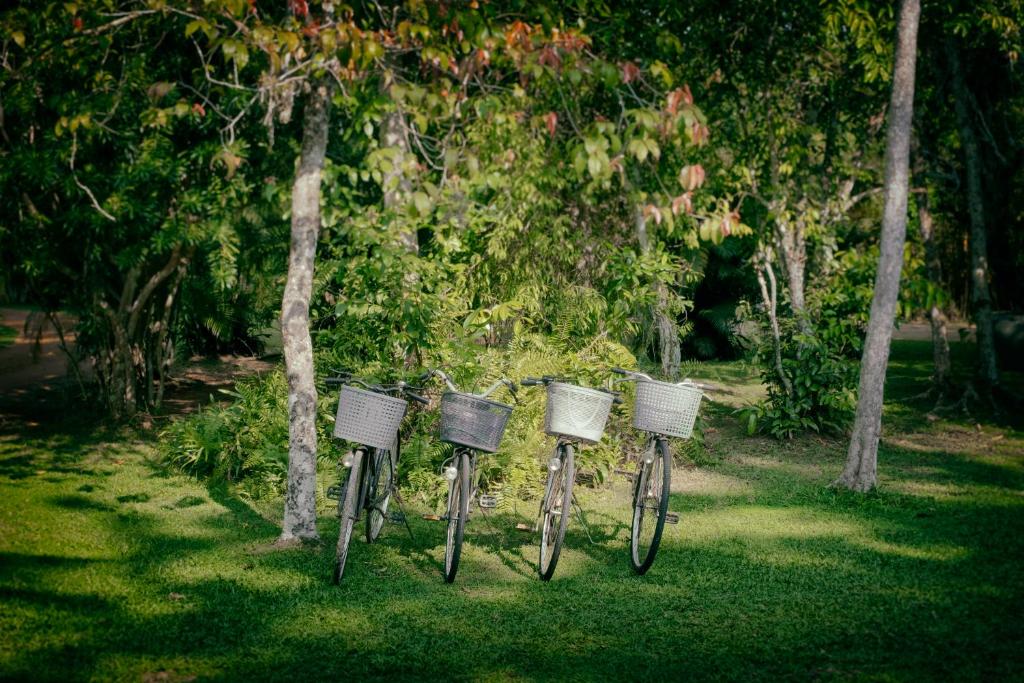 스포츠&체험활동