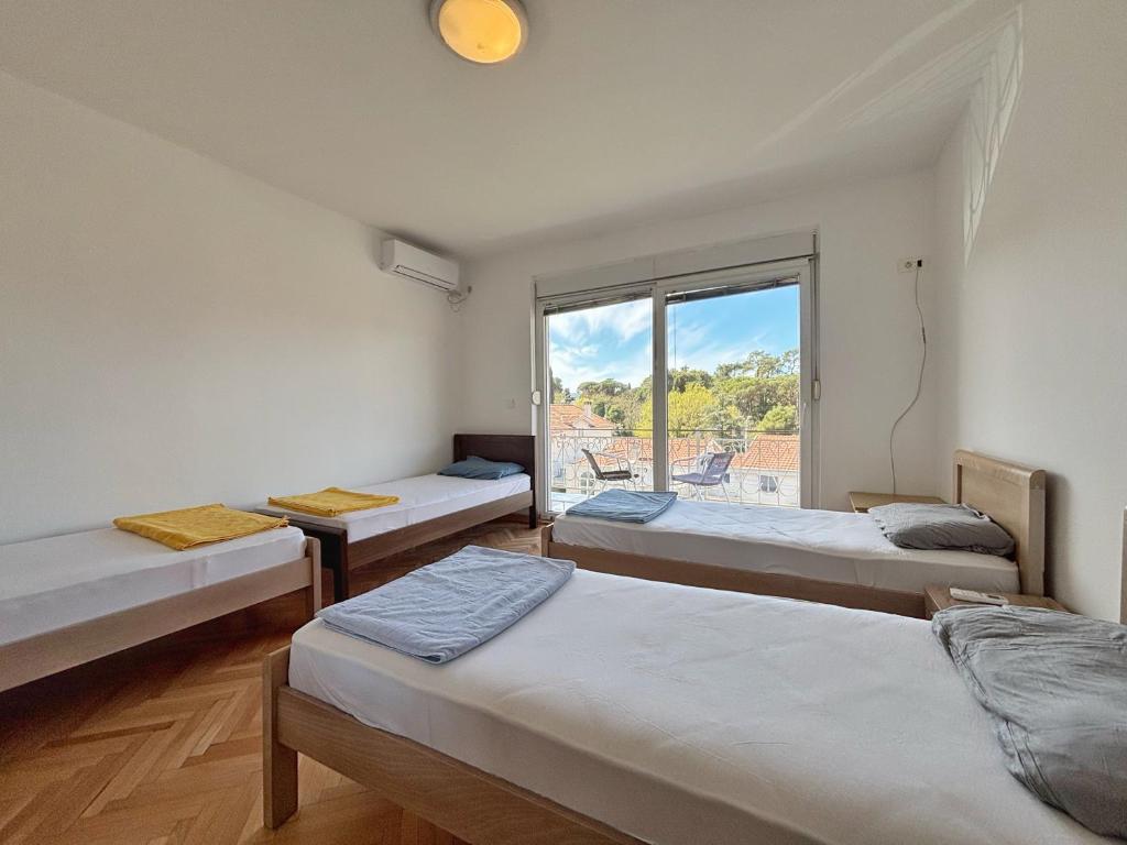 Vega's Hostel - 5