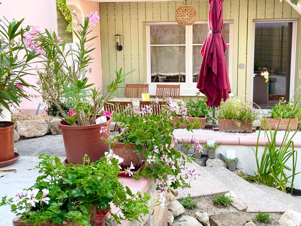 Côté Jardin - 1