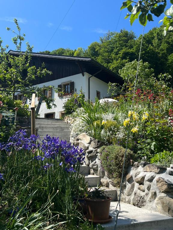 Le Petit Ruisseau - 1