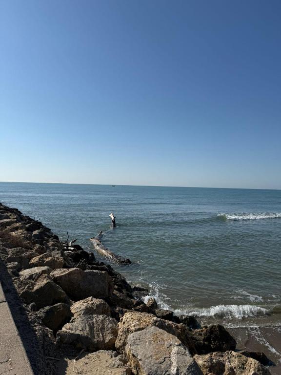 Studio vue mer Valras-Plage - 2