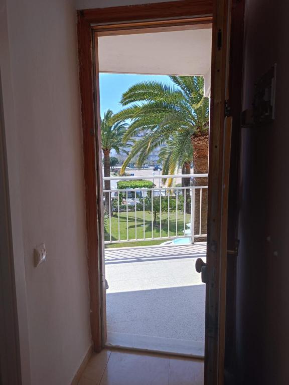 Paradis - 5