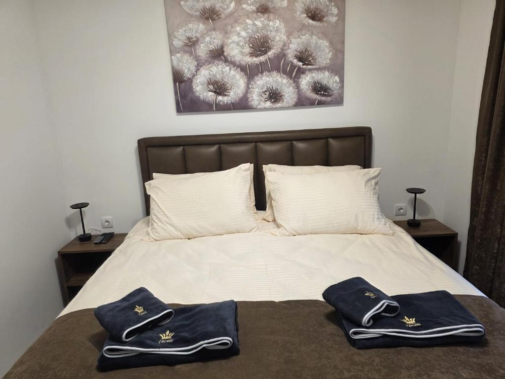 Apartman Top 5 & free parking - 5