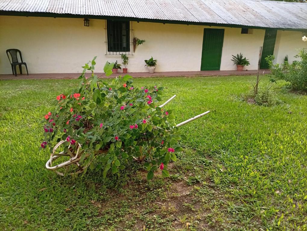 Finca Re Mar 2 - 5