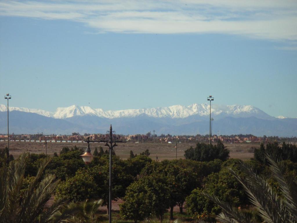 Riad Basim photo