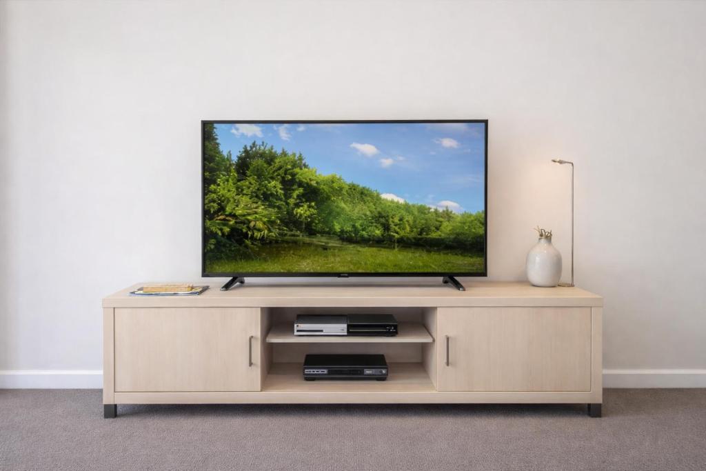 共用ラウンジ/TVエリア