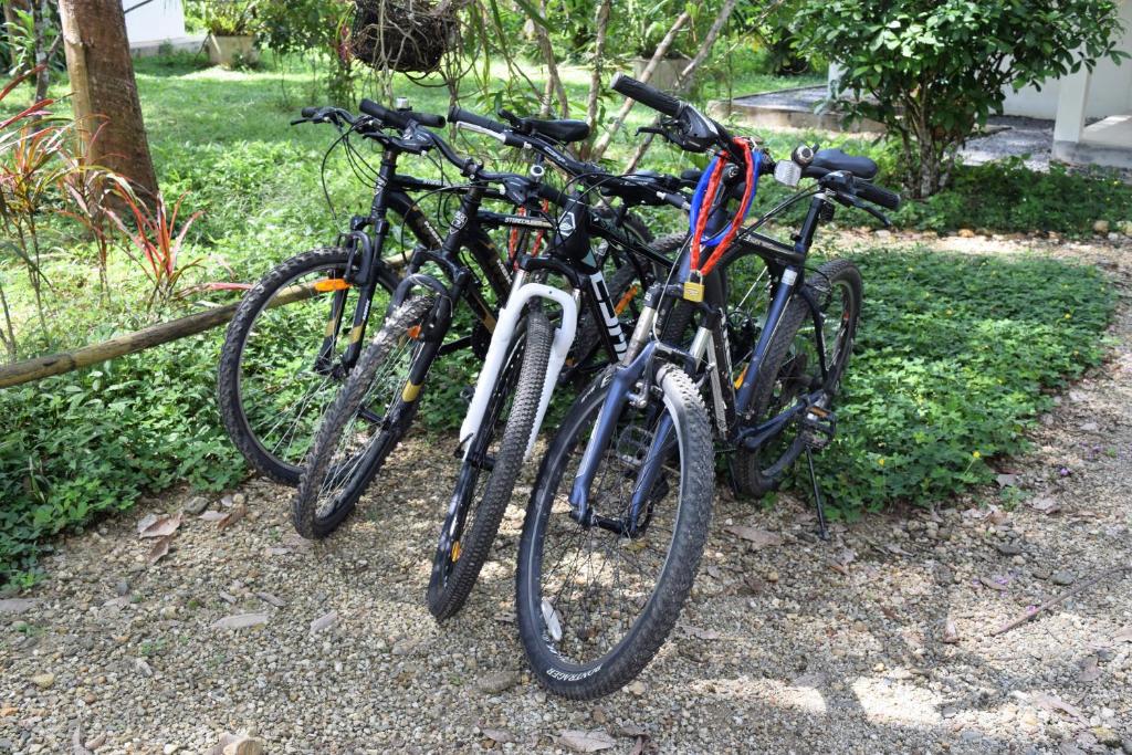 Sports and activities