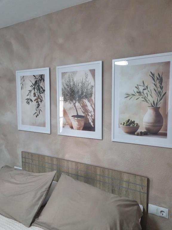 Apartamento Mia - 4