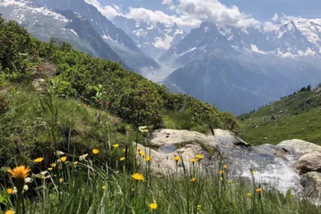 Cozy stay Mont-Blanc view Top location - 3