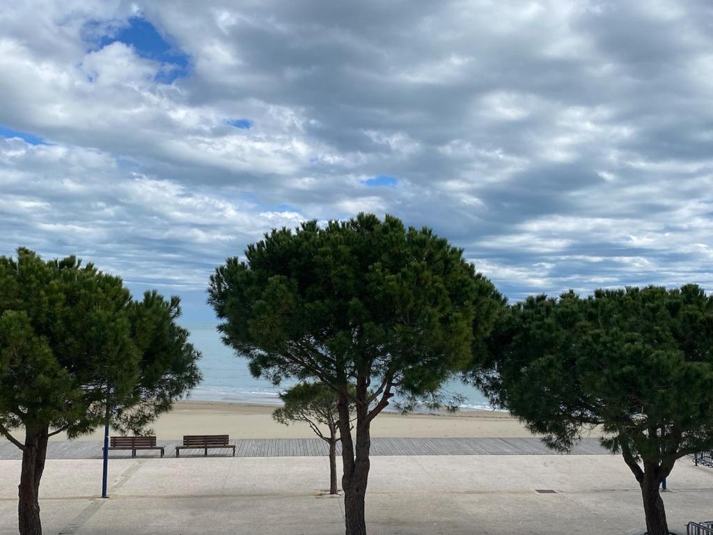 Leucate Apartment - 5